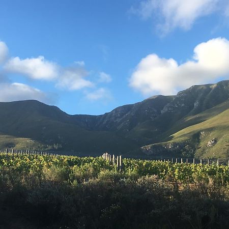 Villa Misty Mountains Hermanus Exterior foto