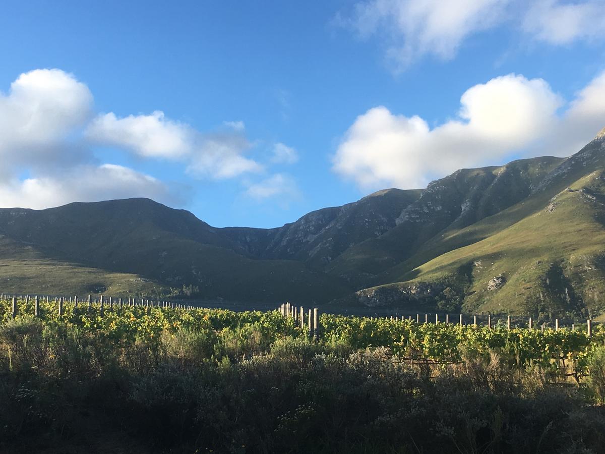 Villa Misty Mountains Hermanus Exterior foto